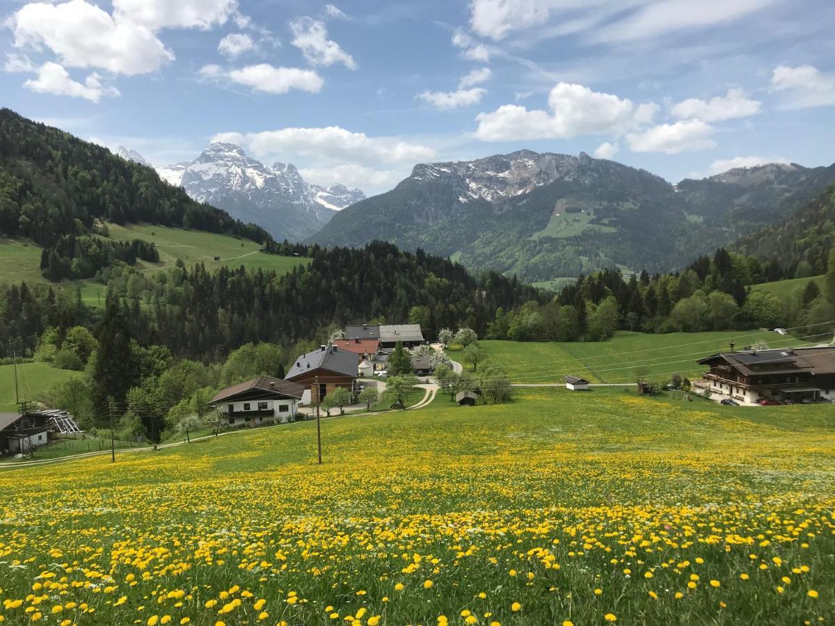 Appartamento Haus Bergsicht Lofer Esterno foto